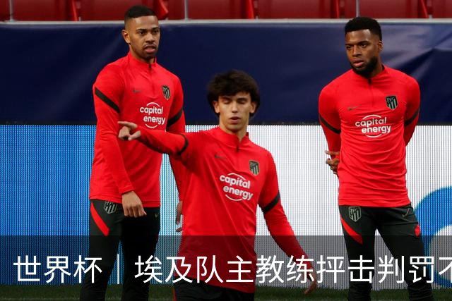 世界杯｜埃及队主教练抨击判罚不公