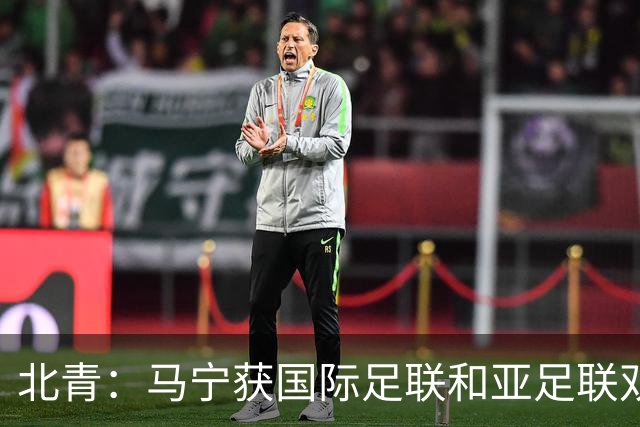 北青：马宁获国际足联和亚足联双重认可，有望再度主哨世界杯赛事