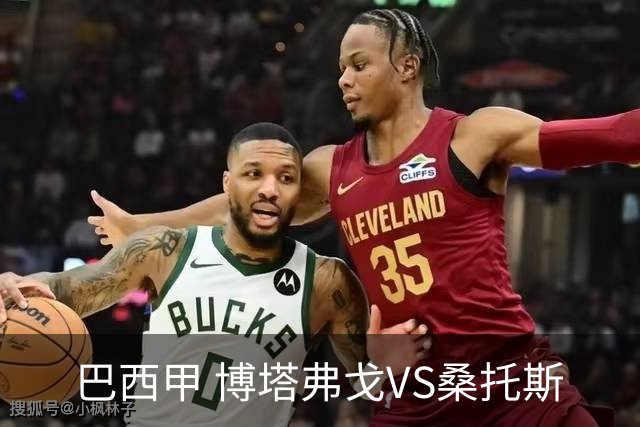 巴西甲 博塔弗戈VS桑托斯